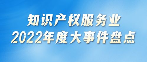 2022年度知識(shí)產(chǎn)權(quán)服務(wù)業(yè)發(fā)展促進(jìn)篇 政策引領(lǐng)與業(yè)態(tài)革新并舉