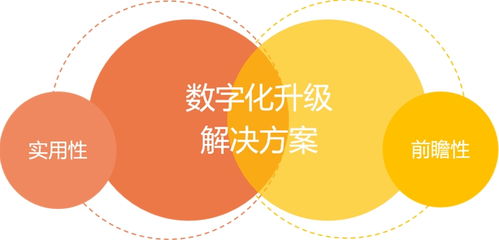 CCN中商再獲殊榮 貝泰妮集團授予2021年度知識產權服務獎